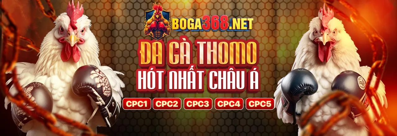Quản lý rủi ro trong cá cược